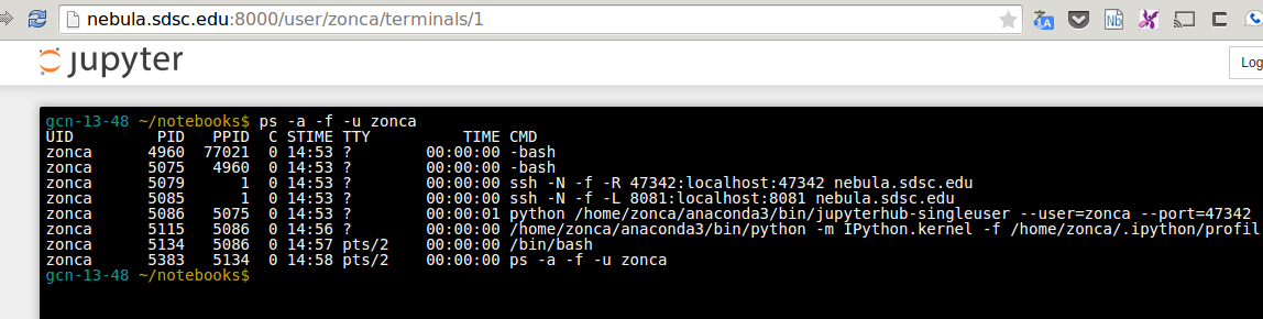 jupyterhub-hpc-terminal.png